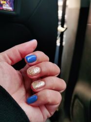-BELLAREAL新美社
