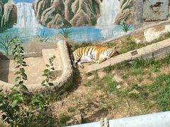 -西霞口神雕山野生动物世界