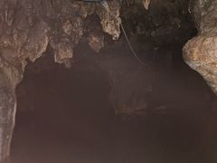 -怀托摩萤火虫洞