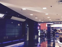 -飞扬影城(正佳IMAX店)