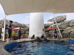 -芜湖新华联大白鲸海洋公园