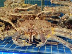 -大东海海鲜酒楼(渔人码头总店)