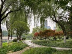 -后襄河公园