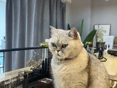 -Oasis绿洲银饰珍珠手作diy(壹方城店)