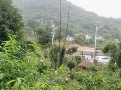 -玫瑰庄园·自助烧烤·烤全羊·团建拓展(龙泉山店)