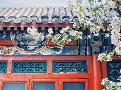 -海棠花溪(元大都城垣遗址公园)