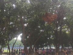 -碧江民乐公园