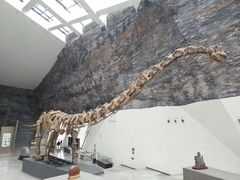 -中华赏石园