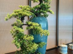 -粤江春·早茶·潮粤菜·宴会(罗湖宝能中心店)