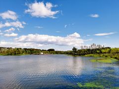 -东郊湿地公园