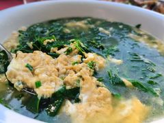 -遇龙河大樟树农家乐