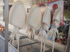 -大澳渔村及棚屋