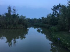 -白鹭湾湿地公园