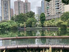 -四海公园(南山区)