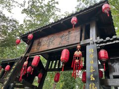 -合肥滨湖国家森林公园