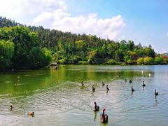 -南京银杏湖乐园