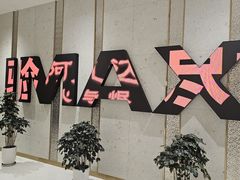 -大世界影城(无锡江南大悦城IMAX激光店)