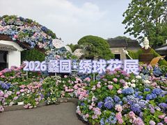 -无锡蠡湖国家湿地公园-蠡园