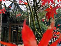 -敬亭山风景名胜区