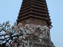 -玲珑塔公园