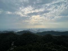 -大金鹰园
