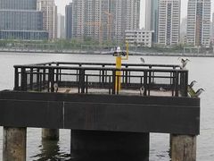 -秦皇岛路游船码头