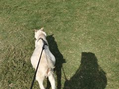 -前小桔亲子创意农场·草莓采摘·露营烧烤