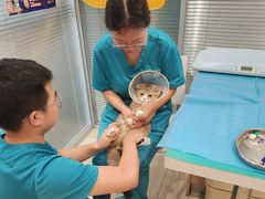 -美迦爱-牙专科·兔科·骨科诊疗中心(北苑店)