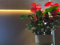 -苏帮袁·竹(北京坊店)