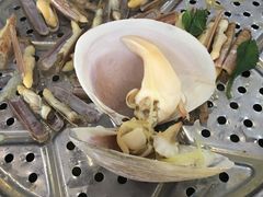 -海大大蒸汽海鲜餐厅·粤菜·特色小炒(欢乐颂店)