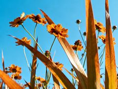 -西安市长乐公园