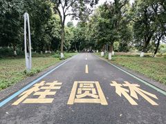 -张坝桂圆林公园