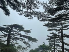 -黄山风景区