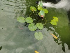 -濮园 · 四合院餐厅