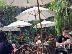 -Fern Forest Cafe