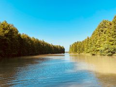 -上海海湾国家森林公园