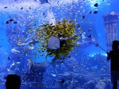 -波塞冬旅游度假区