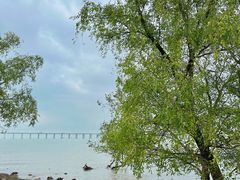 -宝安西湾红树林湿地公园