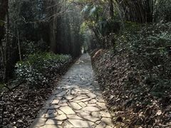 -潜山国家森林公园