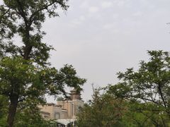 -莲花池公园