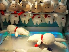 -PAWTOY爪e玩偶店(天兴罗斯福店)