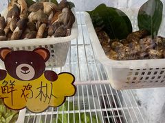 -菌之家·专业纯野生菌火锅·特色炒菌