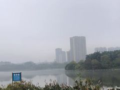 -飞来湖湿地公园