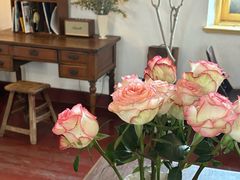 -春风十里咖啡馆