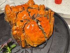 -南麓·浙里(外滩店)