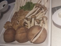 -百年果林椰子鸡(中洲店)