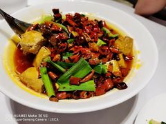 -新吉士·上海菜(浦东LCM置汇旭辉店)