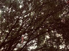 -台江农贸市场(建海小区店)