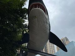 -海合安成都极地海洋公园