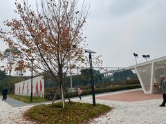 -成都高新创新角度网球俱乐部
